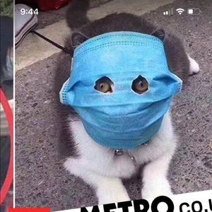 Meet your Posher, Alan